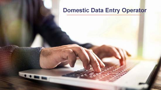 Domestic Data Entry Operator Course