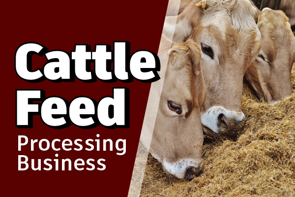 Cattle Feed Processing Business Course