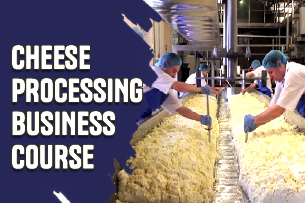 Cheese Processing Business Course