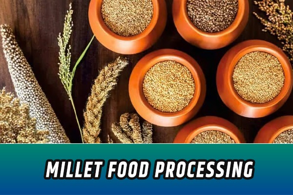 Millet Food Processing